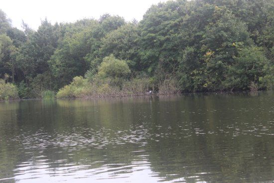 Stadt Moers Park